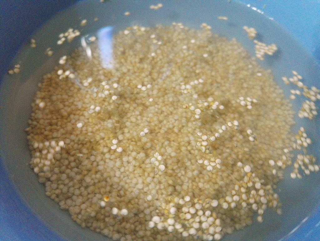 Quinoa cu verdeata si seminte